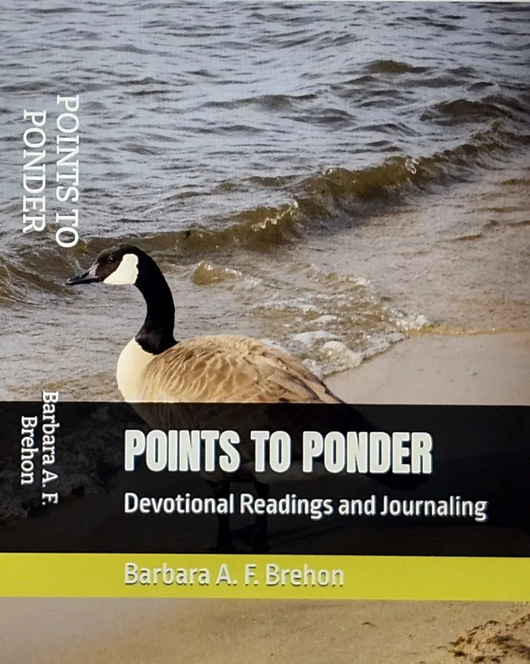 Points to Ponder Volume 1 cover