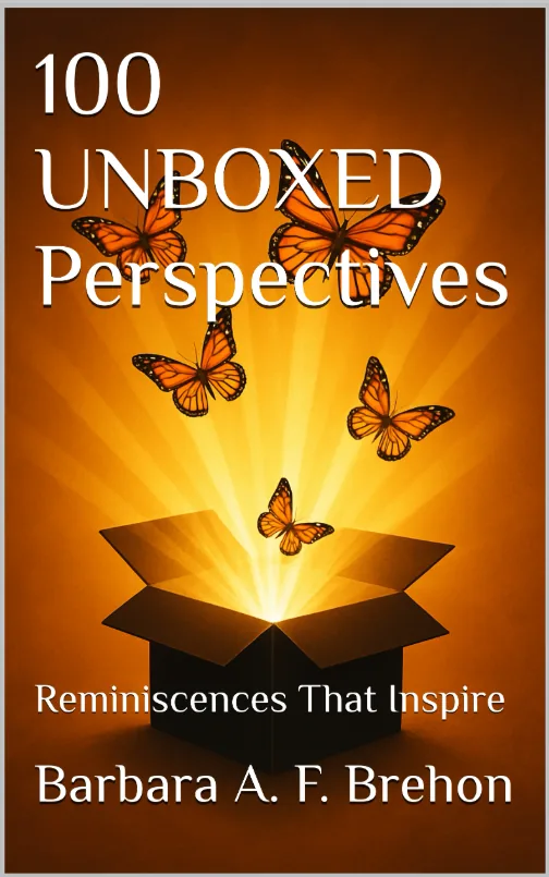 100 UNBOXED Perspectives cover